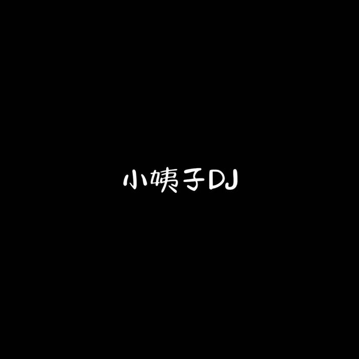 小姨子DJ