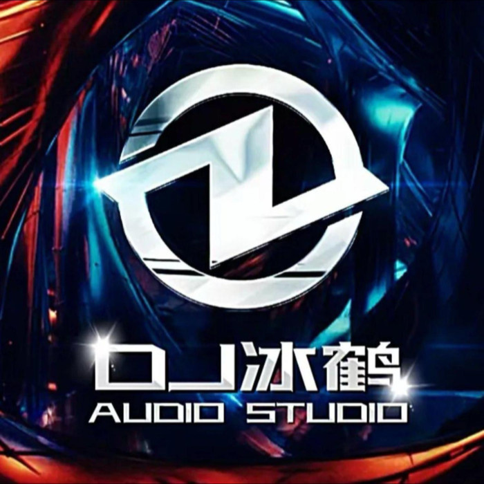 dj阿鹤&dj冰鹤&DJ琦先森&白先森&DJ钰&dj苏辰