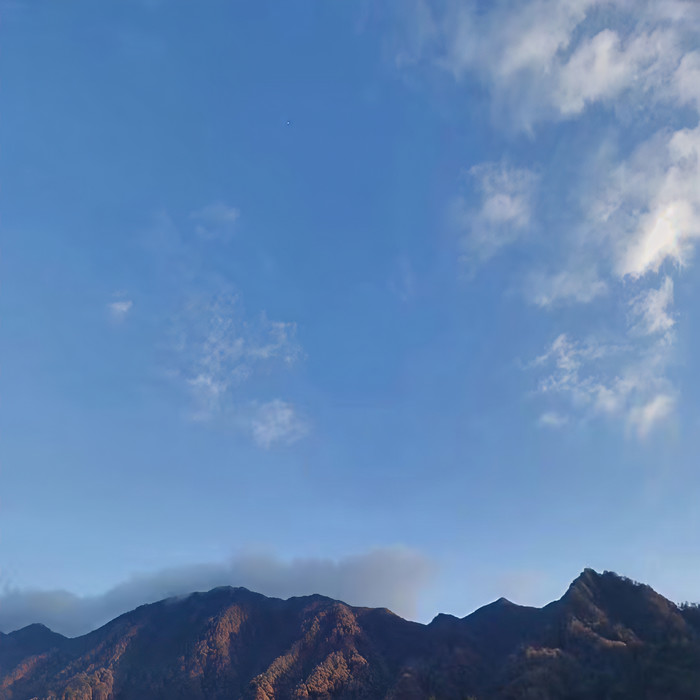 姜小小