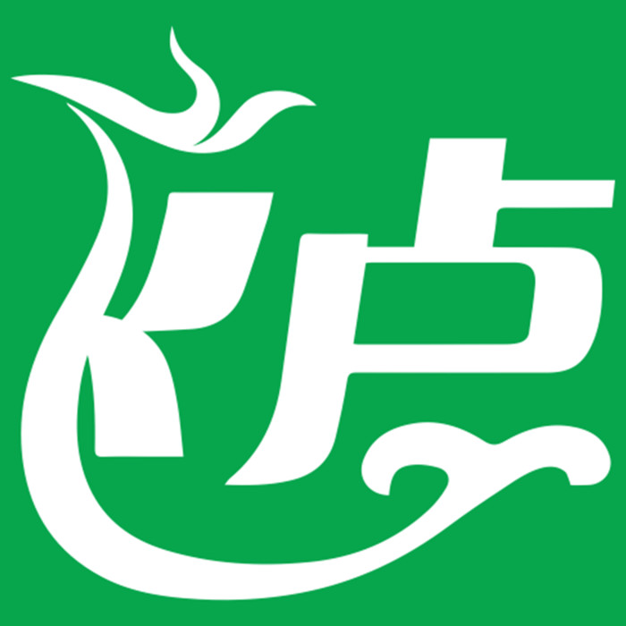 飞卢小说