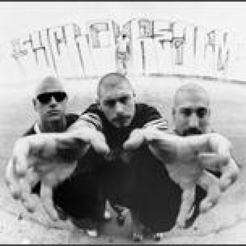 Show of Force - The Psycho Realm
