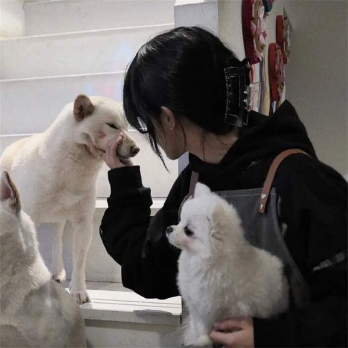 冻梨紫&一只宇