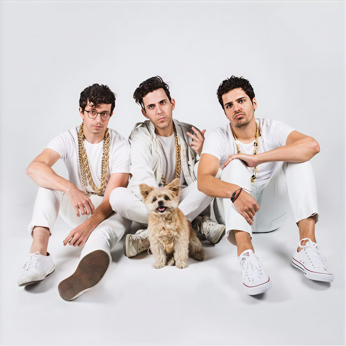 Love Like We Used To(Party Pupils Remix) - Captain Cuts