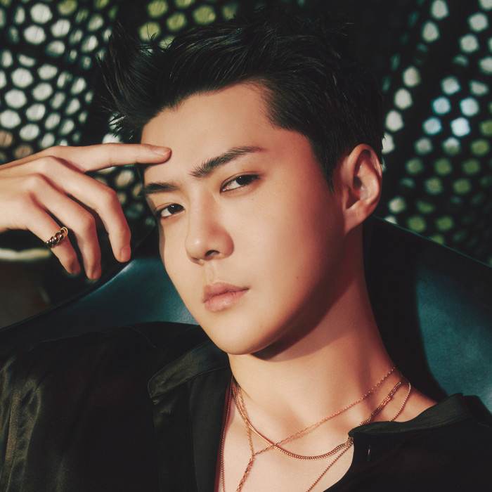 세훈&CHANYEOL