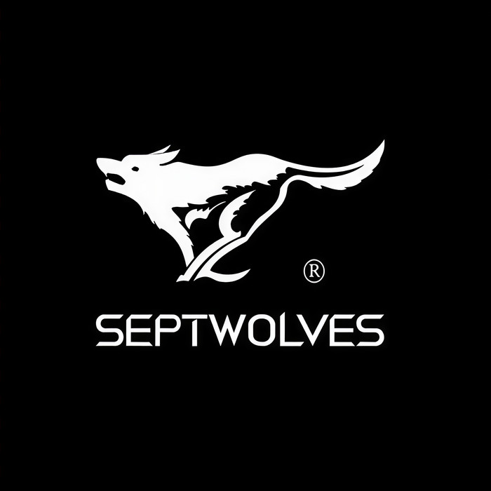 Tacata (快速DJ版) - SEPTWOLVES&Tacabro