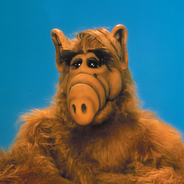 Alf&The Killers