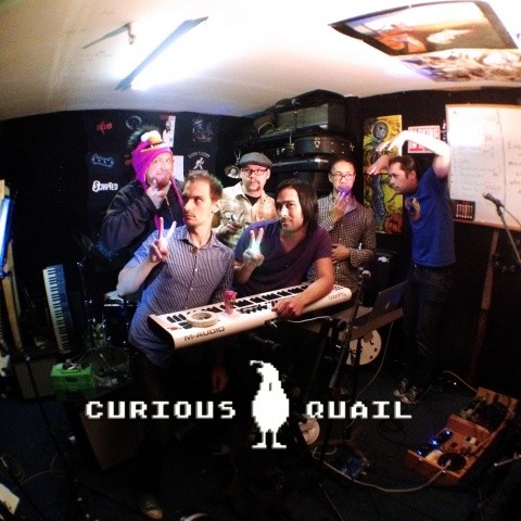 Honestly, Honesty - Curious Quail