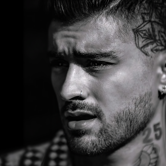 Dusk Till Dawn (Radio Edit) - ZAYN&Sia