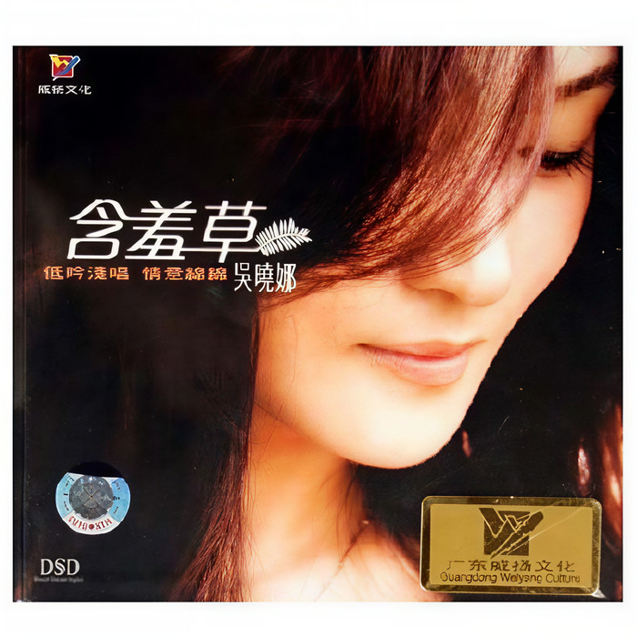 携手游人间 (广场舞版) - 吴晓娜