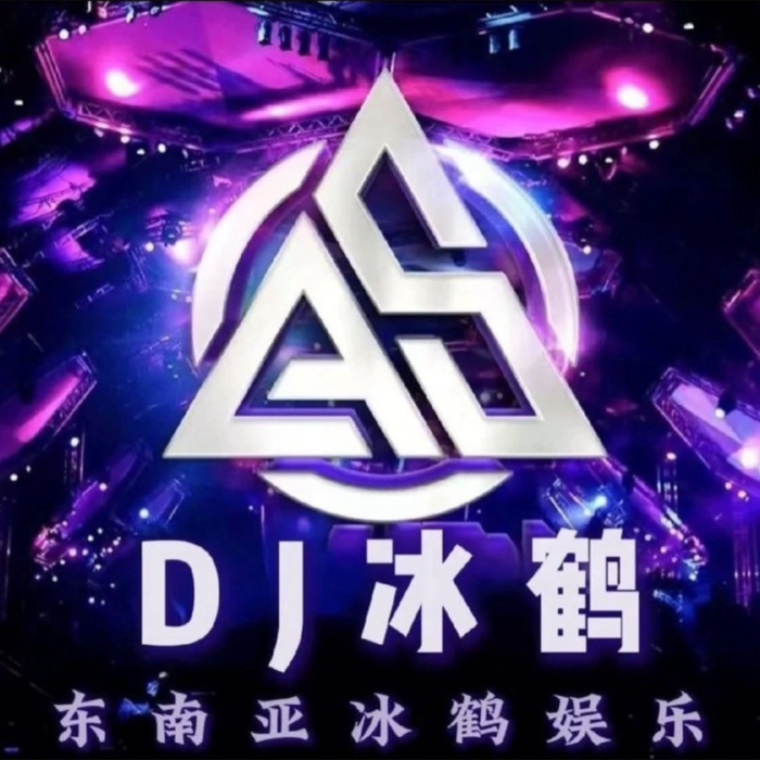 dj冰鹤&dj苏辰&dj鑫总