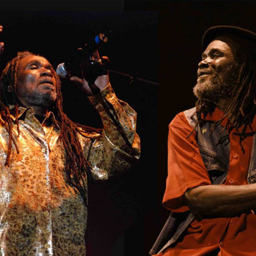 The Riddim of Life - Wailing Souls