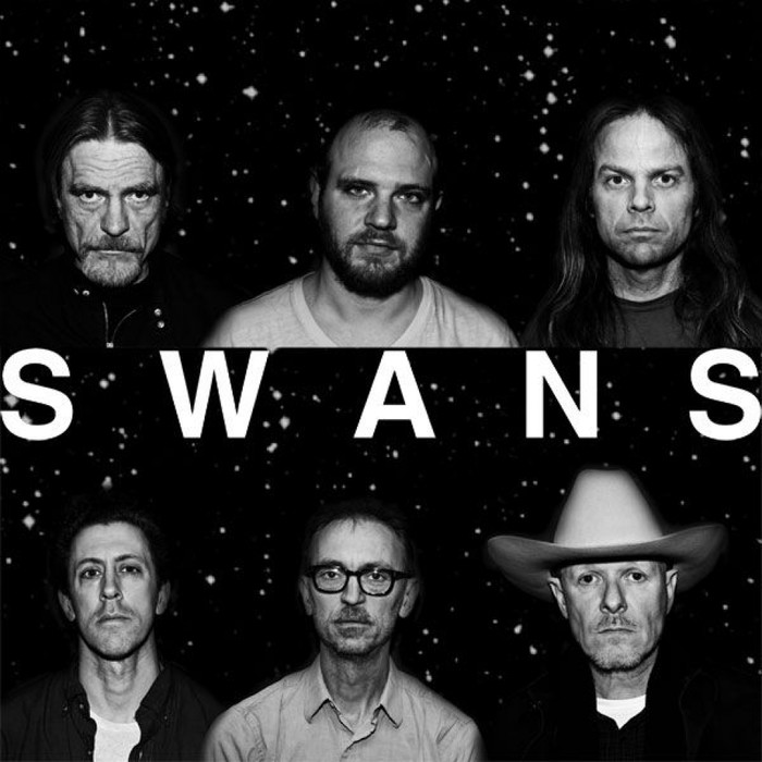 Swans