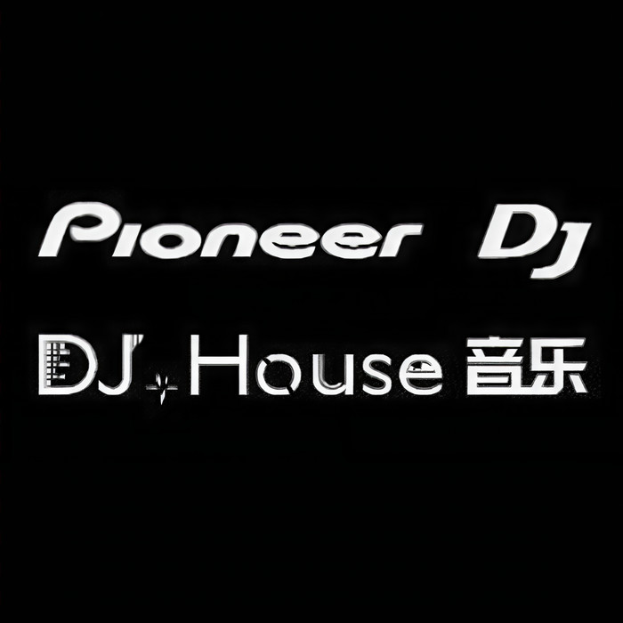 #舞曲 很好听的前奏 - 星光DJ旋律
