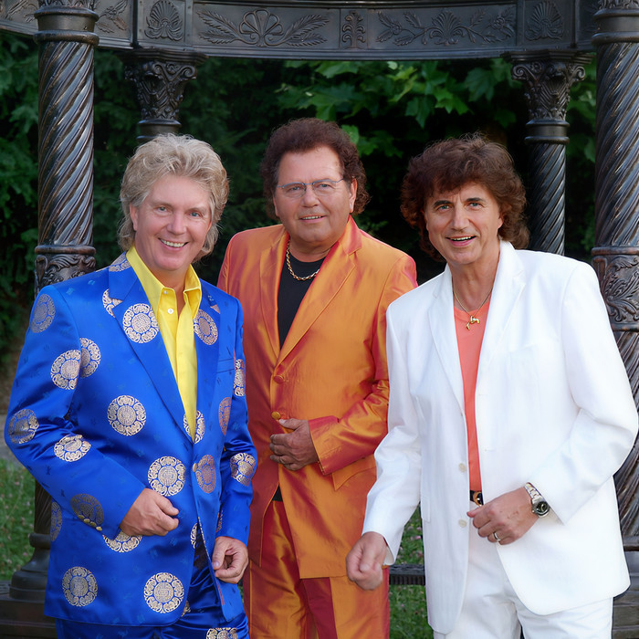 Die Flippers&DJ ROBIN