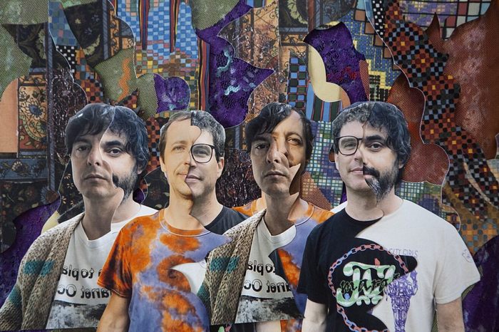 Animal Collective