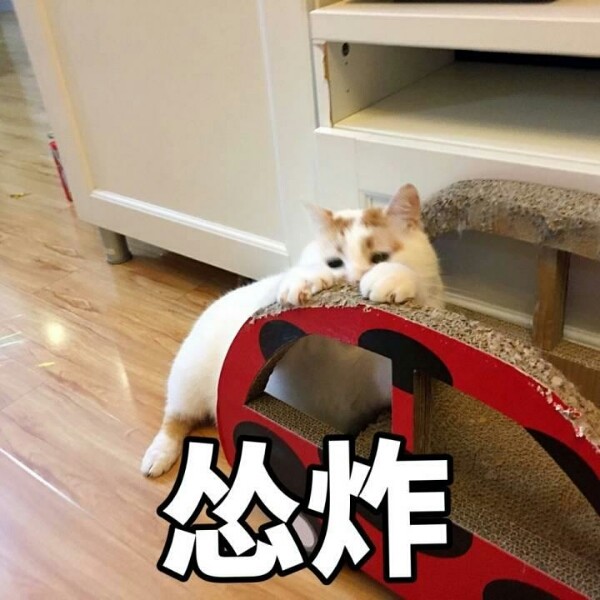 好得很-麦家瑜-单曲-酷我音乐-好音质用酷我