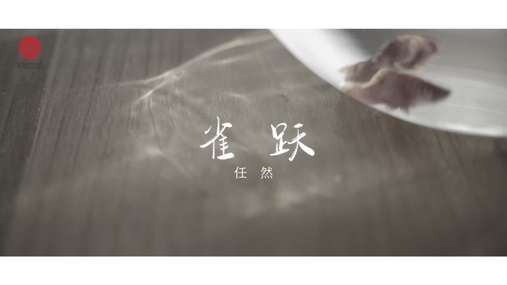 任然《雀跃》