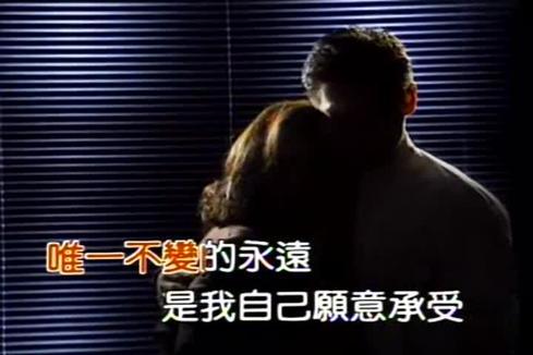林忆莲《爱上一个不回家的人》