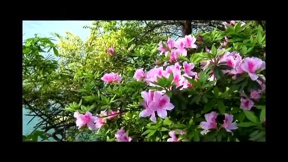 凤凰传奇《奢香夫人》