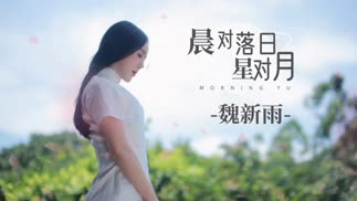 魏新雨《晨对落日星对月》