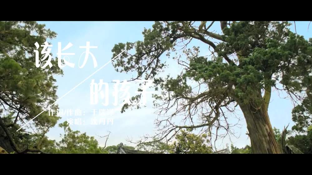 沈丹丹《该长大的孩子》