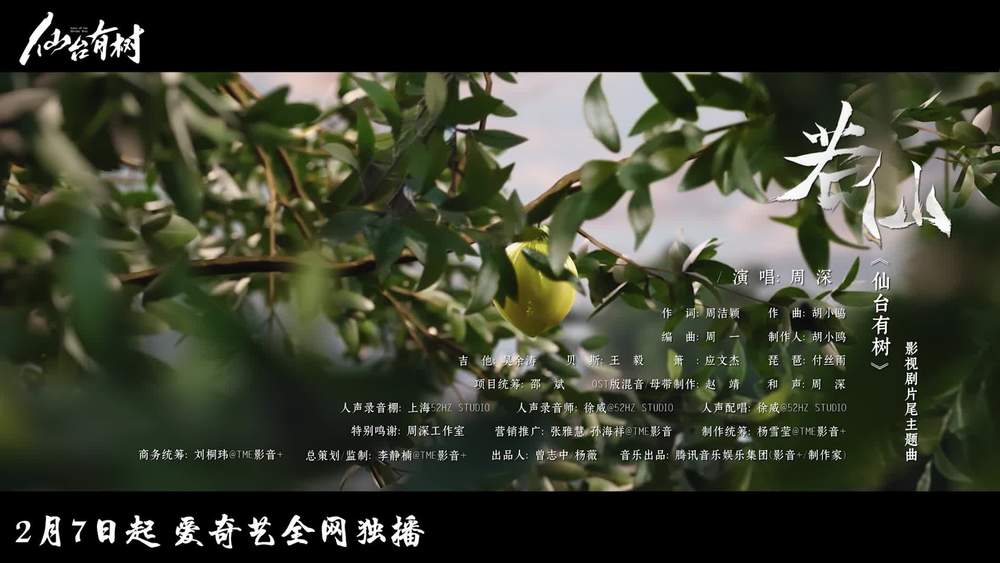 周深《若仙》