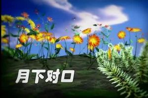 庄学忠&刘珺儿 - 月下对口