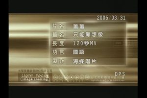 萧萧 - 只能靠想象