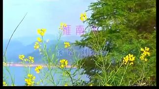 雁南飞封面