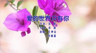 爱的世界只有你 - 任妙音&彭丽嘉封面