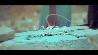 飞鸟与射手封面